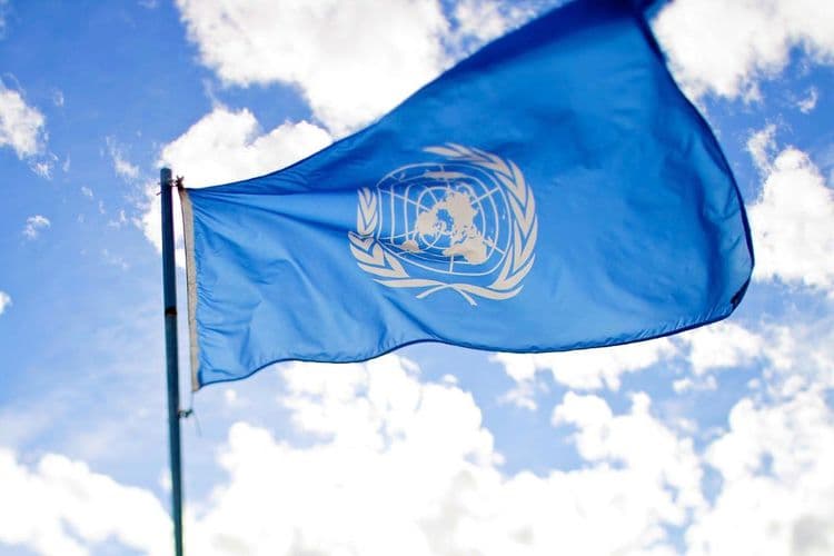 united nations flag
